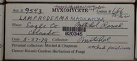 Image Associated With the Occurence